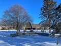 2025-01-20-IMG_4272