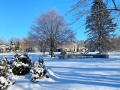 2025-01-20-IMG_4280