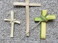 2025-04-13-Palm-Sunday-IMG_4799