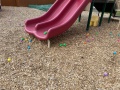 2025-04-19-CLC-Easter-Egg-Hunt-IMG_4837