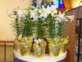 2025-04-20-Easter-Sunday_DSC03761