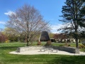 2025-04-24-IMG_4907