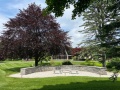2025-05-30-IMG_5128
