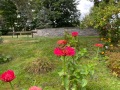 2025-08-29-CLC-Memorial-Gardens-and-Columbarium-IMG_5960s