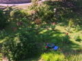 2025-09-11-Drone-vlcsnap-2025-09-26-11h23m17s954