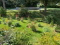 2025-09-27-IMG_6204