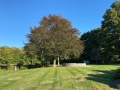 2025-09-28-IMG_6220