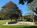 2025-09-28-IMG_6228