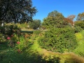 2025-10-05-IMG_6260