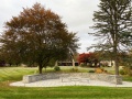 2025-10-29-IMG_6378