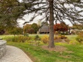 2025-10-29-IMG_6380