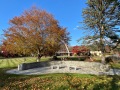 2025-11-08-IMG_6418