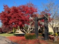 2025-11-11-IMG_6434