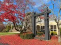 2025-11-16-IMG_6499C