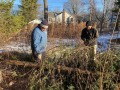 2025-12-18-CLC-Christmas-tree-felling-IMG_6858