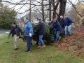 2025-12-19-XMAS-tree-field-to-Sanctuary-DSC04699