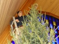 2025-12-19-XMAS-tree-field-to-Sanctuary-DSC04713