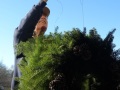 2025-12-20-CLC-Christma-Decorating-DSC04729