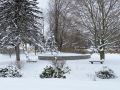 2025-12-27-snowy-CLC-IMG_6986