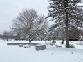 2025-12-27-snowy-CLC-IMG_6996