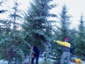 2019-12-20-Tree-Cut-and-Santuary-Placement-DSC05518b