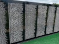 2022-06-03-Traveling-Vietnam-Memorial-Wall-in-Cheshire-MG_4685