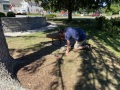 2022-09-03-CLC-IMG_5504