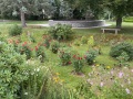 2022-09-10-CLC-IMG_5562