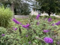 2022-09-10-CLC-IMG_5563