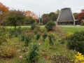 2022-10-27-Seasonal-changes-IMG_6662