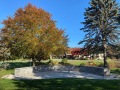 2022-11-03-CLC-Columbarium-and-fall-foliage-MG_6695