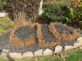 2022-11-06-IMG_6734