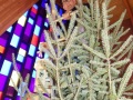 2022-12-17-CLC-Christmas-decorating-DSC00056_v