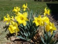 2023-04-09-CLC-Easter-DSC00693