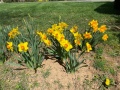 2025-04-20-Easter-Sunday_IMG_4873-1