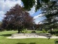 2025-06-21-IMG_5271