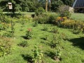2025-08-08-IMG_5688