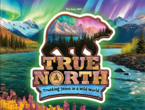 vbs true north logo 2025